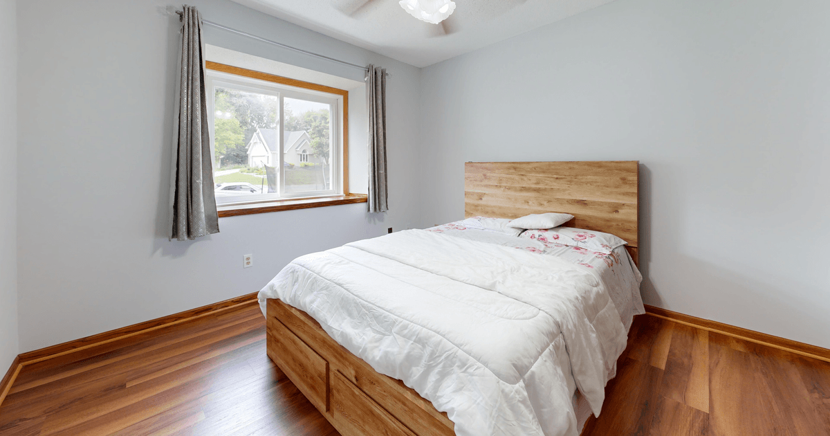 Bed Bug Spray That Works: Contact vs Residual