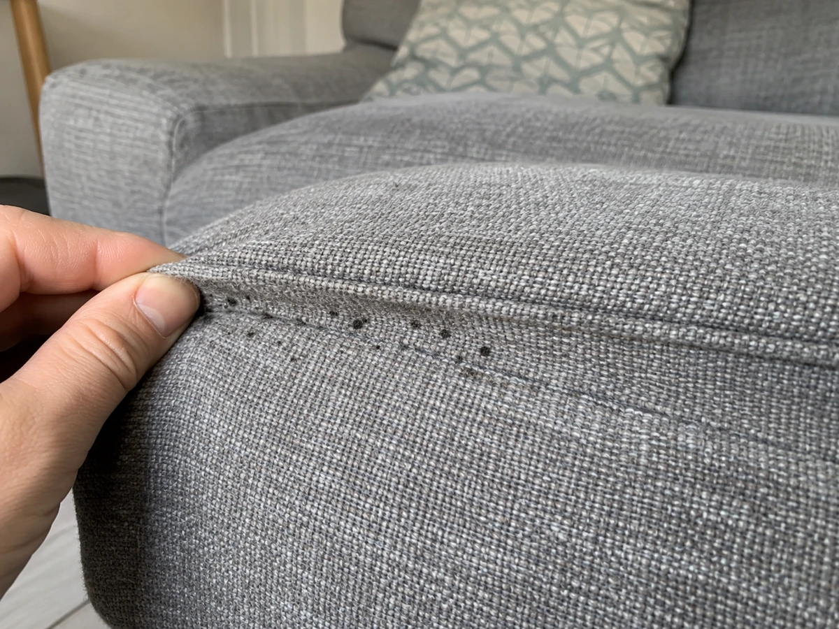 Black dots in the couch seams: identification photo (bed bugs)